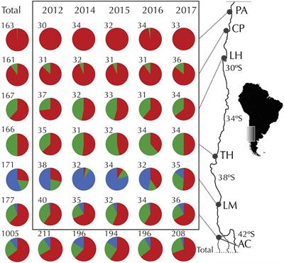 Time or Space? Relative Importance of Geographic Distribution and Interannual Variation in Three Lineages of the Ascidian Pyura chilensis in the Southeast Pacific Coast